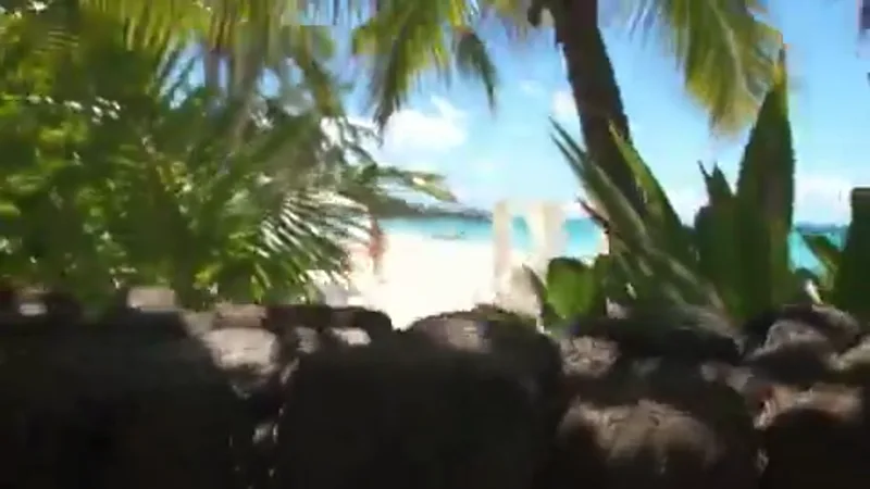 Staged Paparazzi Tabloid Footage video workflow example, not verified as Seedance 2.5 API output